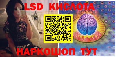 прущие грибы Бузулук